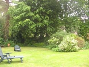 Summer Garden 2