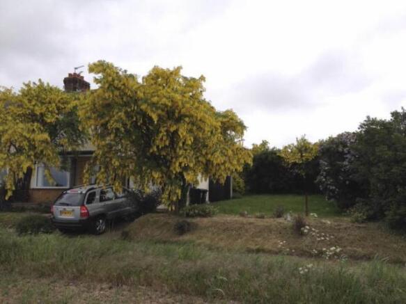 Image 13