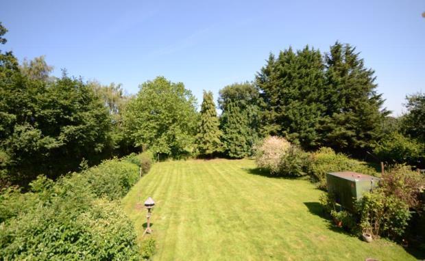 Garden 1