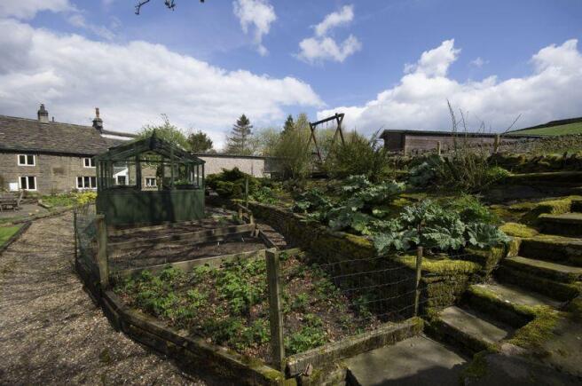 Veg Patch