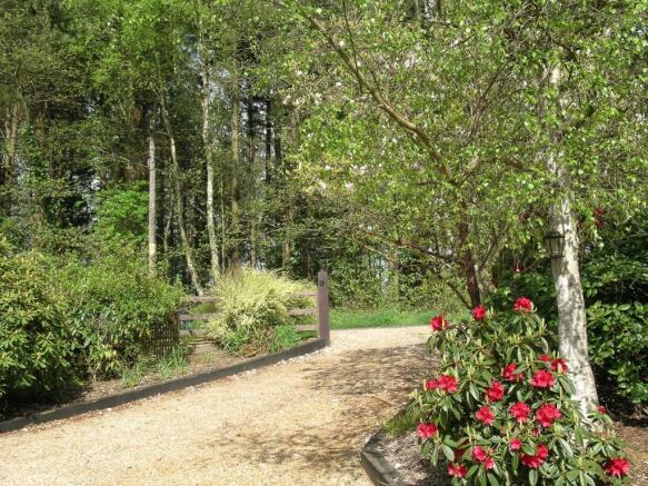front garden