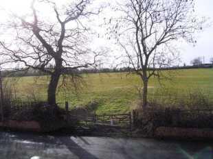 View To Front