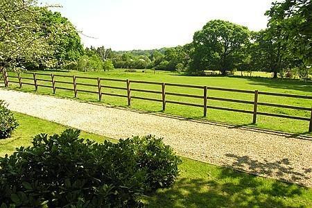 Paddock