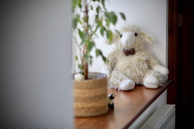 Photo 28
