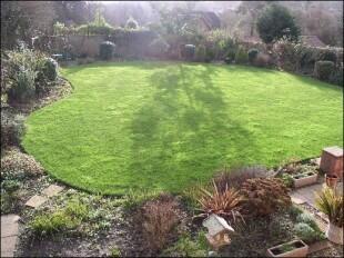 garden