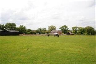 paddoack view