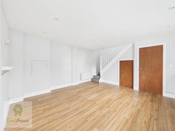 Living room and kitchen