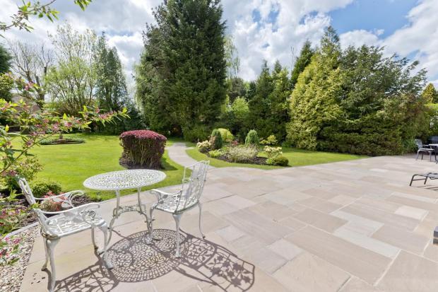 Garden Image 2