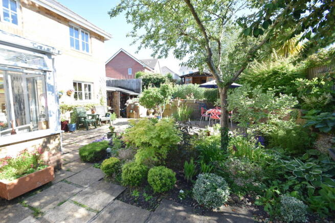 Photo 11