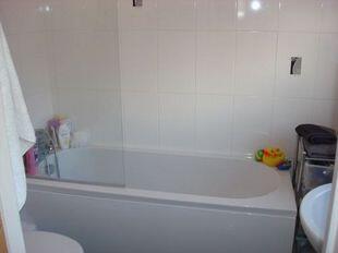 Picture 8