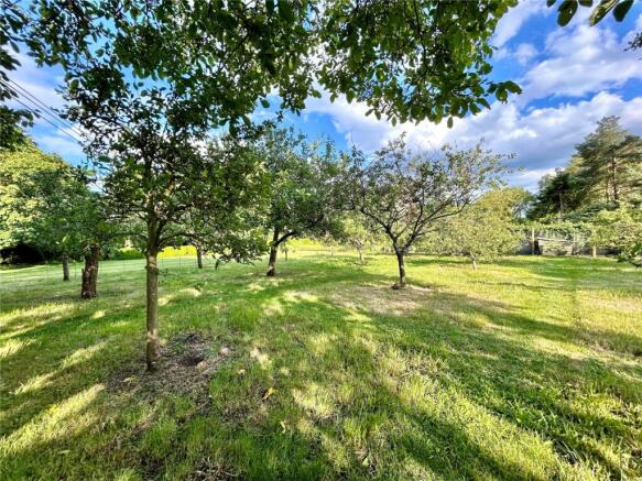 Orchard