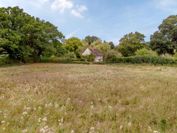 Wildflower Meadow