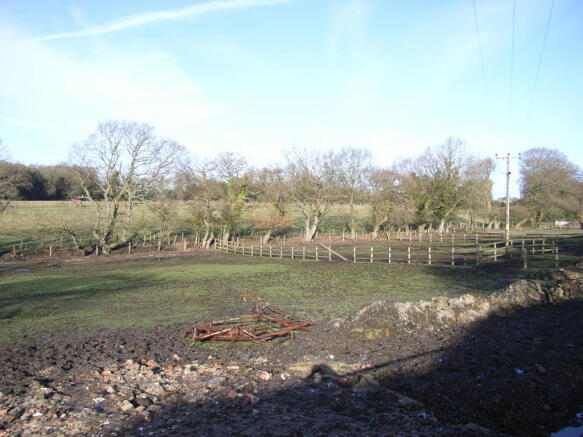 Paddock