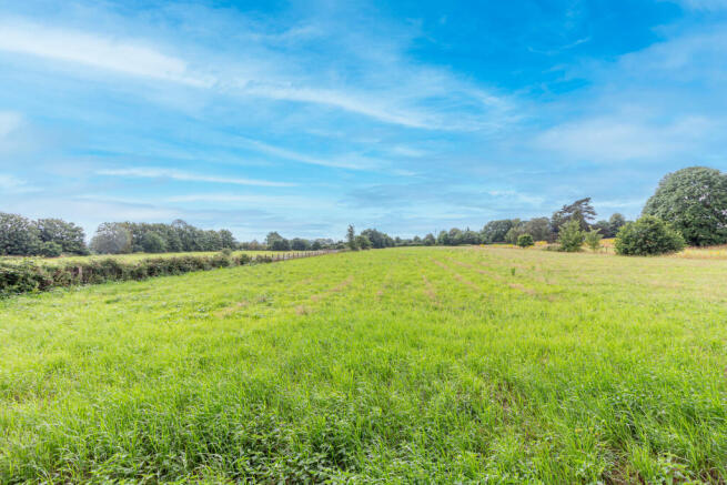 Field