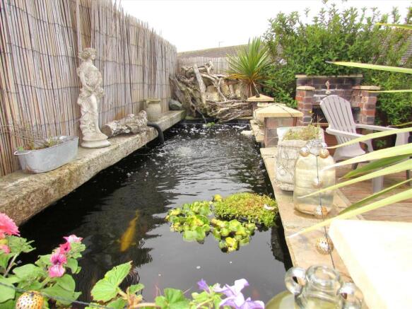 Koi Pool