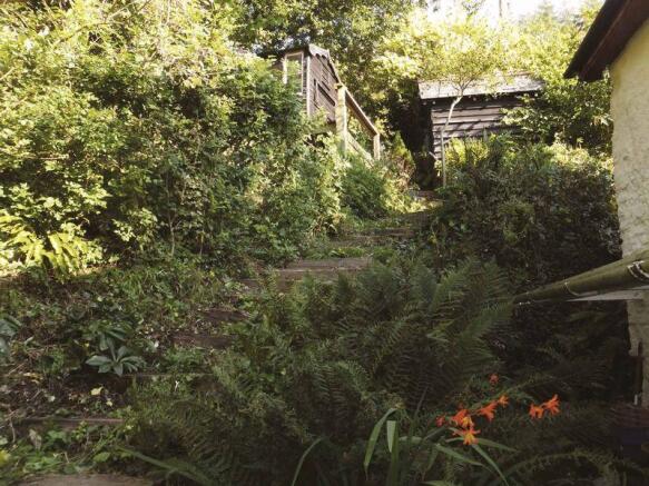 Back garden