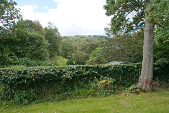 View from Garden