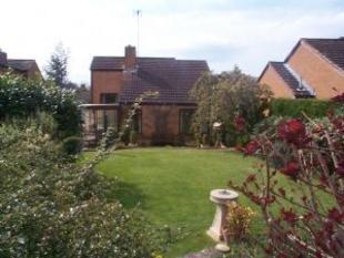 garden 2