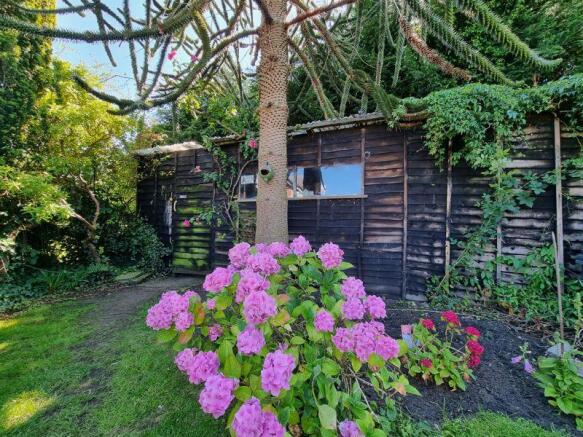 Hidden Shed