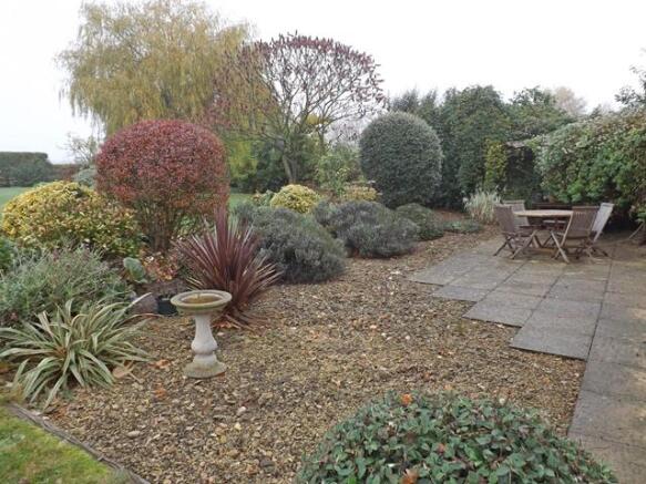 Rear Patio