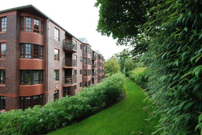 Communal Garden to