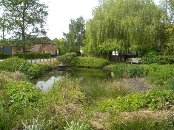 village pond
