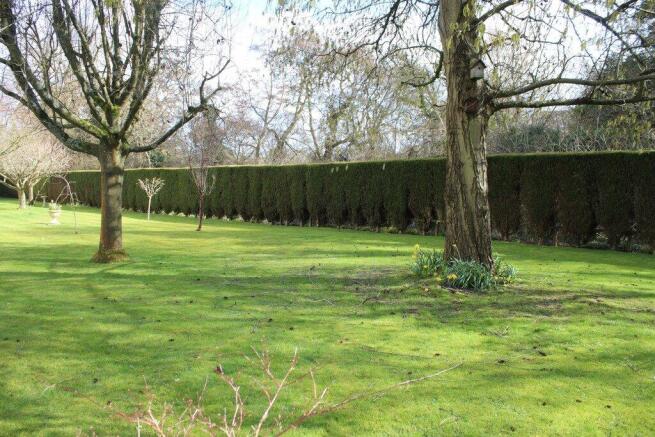 Picture No. 09
