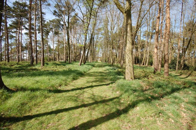 GROUNDS