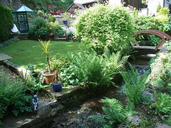 Photo 11