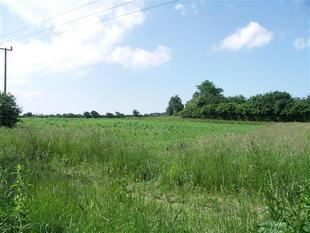 THE PROPERTY