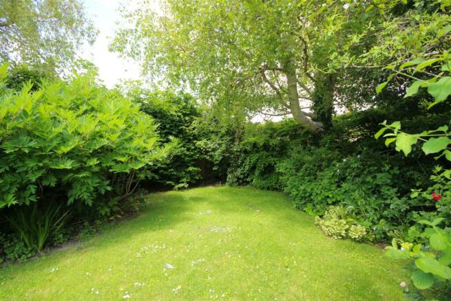 garden 2.JPG