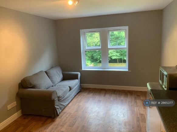 Living Room / Kitchen 