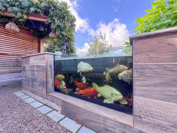 Raised Fish Pond