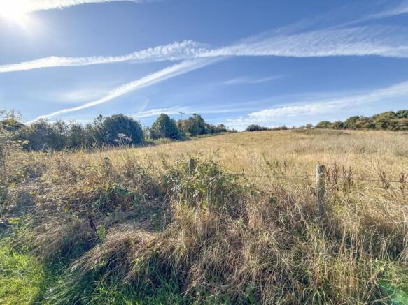 Surrounding Area