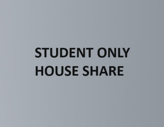 Screenshot 2024-0...