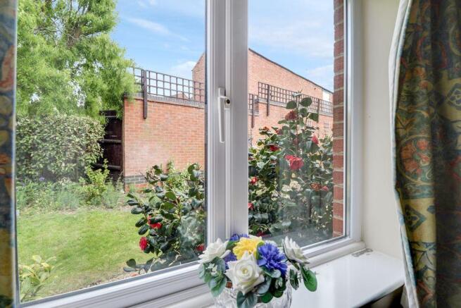 View from Window