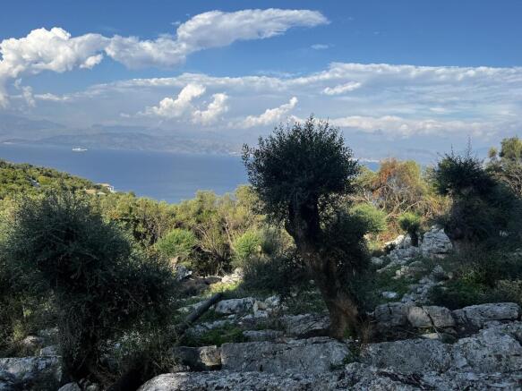 Land and views