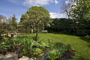 Garden Photo 1
