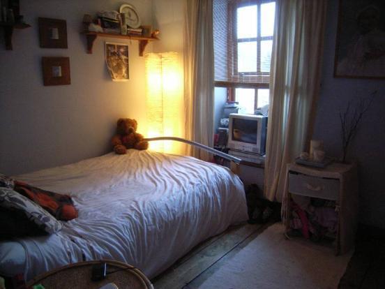 Photo 8