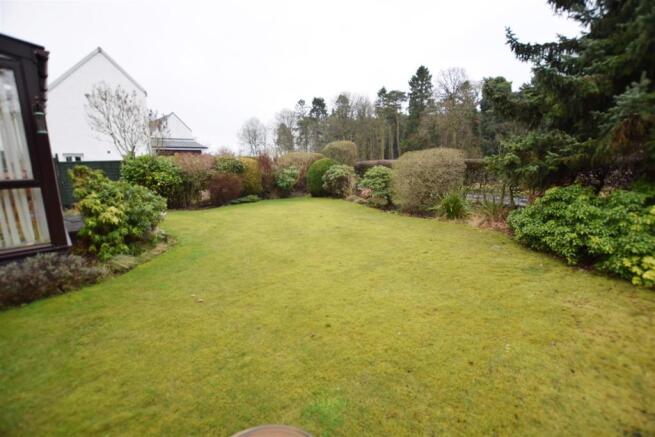Garden.JPG