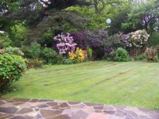 garden 3