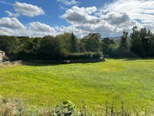 Brent Picture copy.jpeg