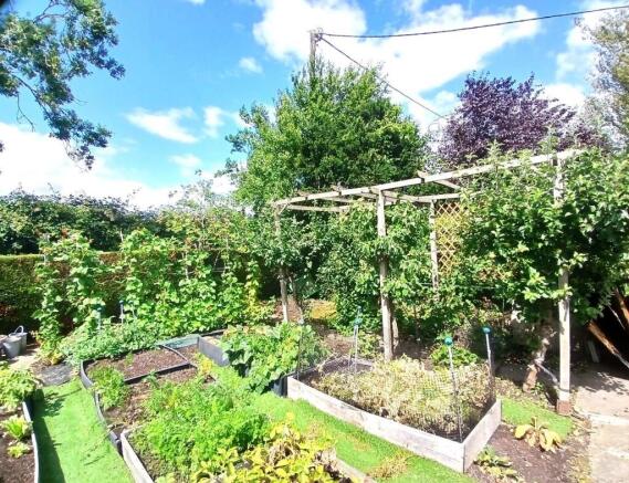 Garden 4.jpg