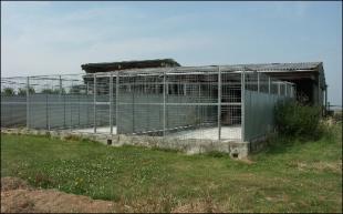 Dog Kennels
