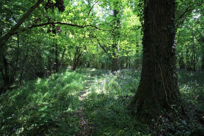 Woodlands