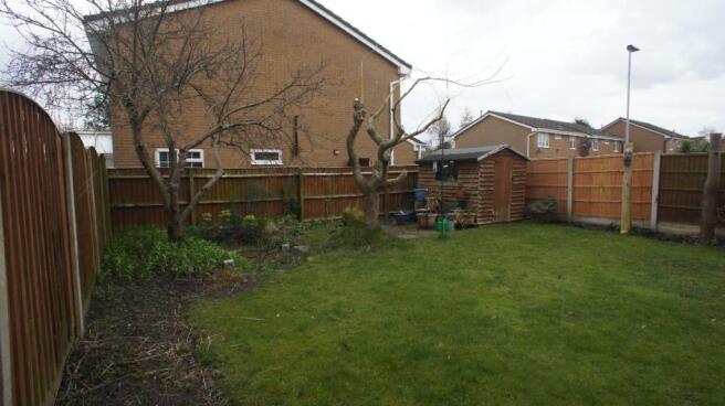 Photo 15