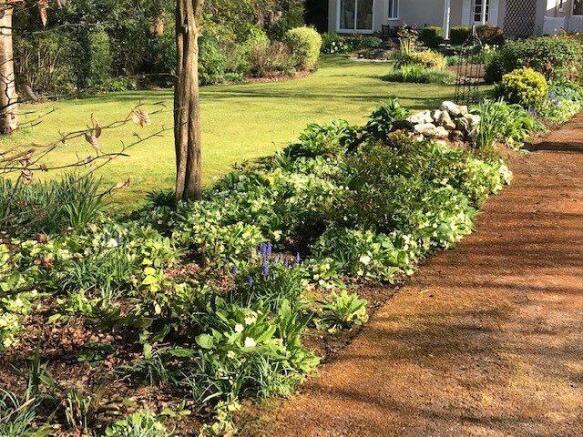 Front Garden