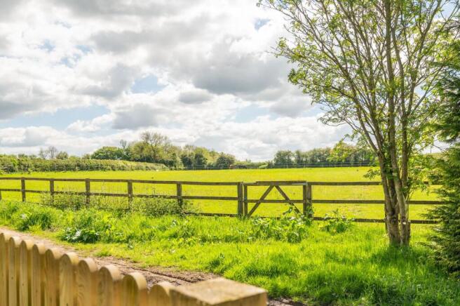 Fields