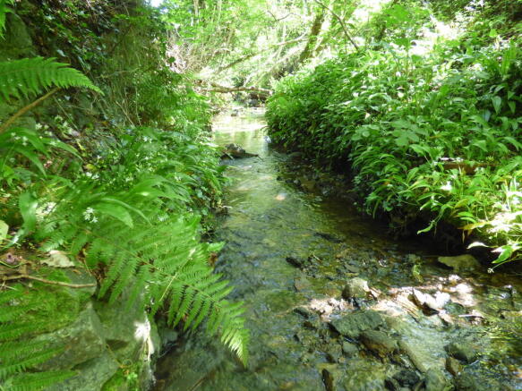 Garden stream