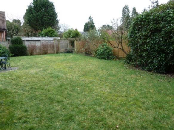 Photo 11